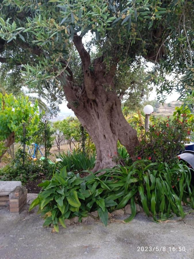 Casa Da Daniela Villa ตาออร์มินา ภายนอก รูปภาพ